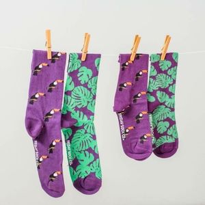 Men’s Socks | Toucan and Monstera | Fun Socks